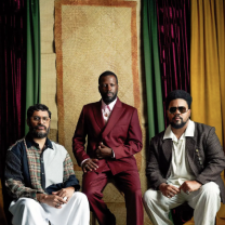 DINO, AMARO E CRIOLO